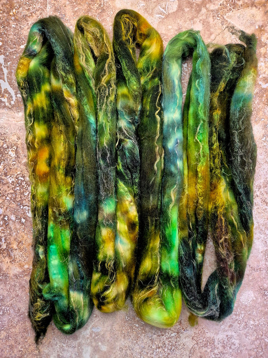 Kelp
