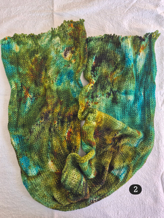 Sock Blank 2