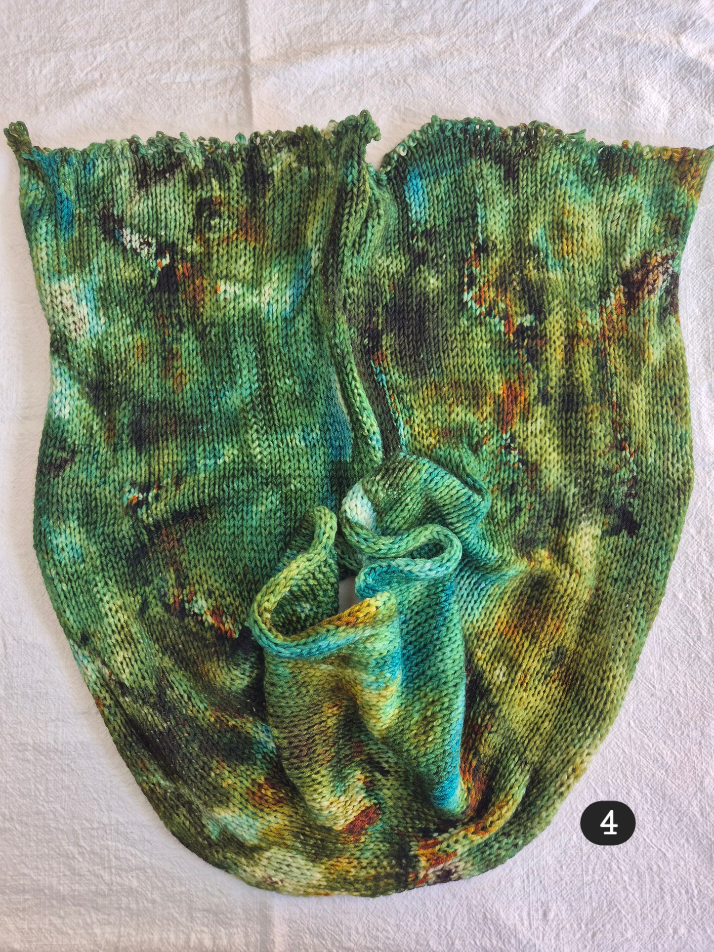 Sock Blank 4